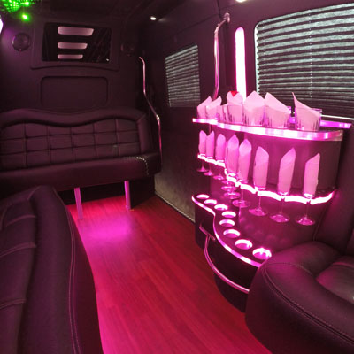 10 Passenger Party Bus Service in Los Angeles CA