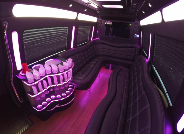 20 PASSENGER PARTY BUS SERVICE IN SANTA MONICA CA